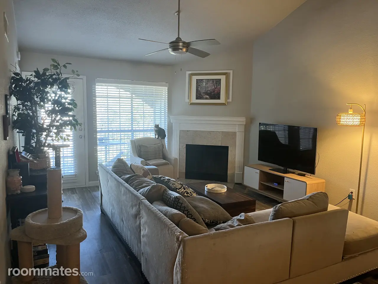 Profile photo 1 of 13