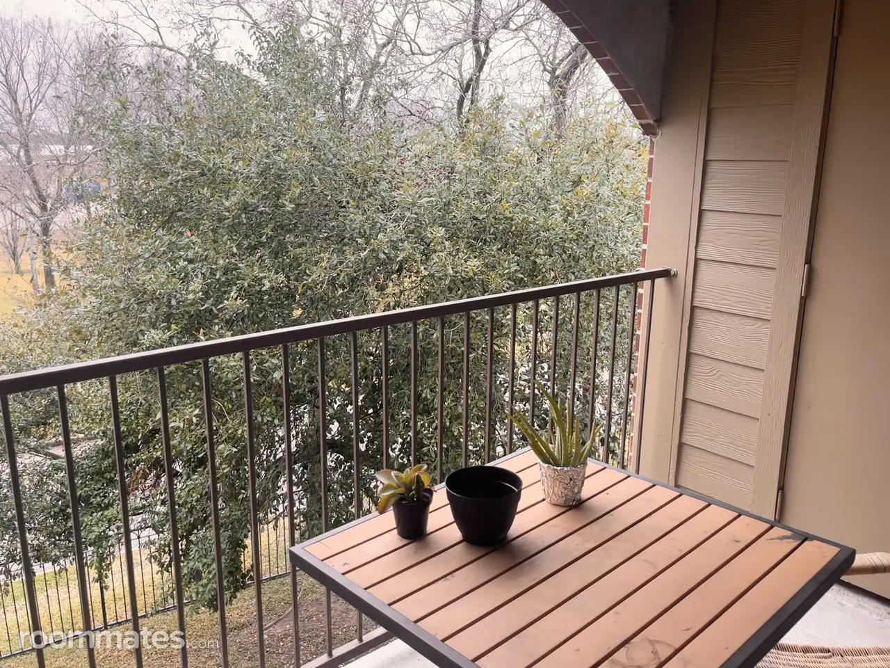 Profile photo 7 of 13