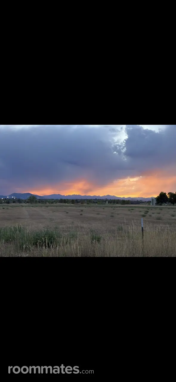 Profile photo 3 of 11