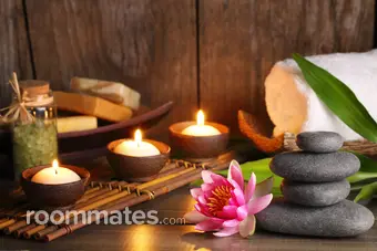 Roommate looking Jacksonville, FL, $2000