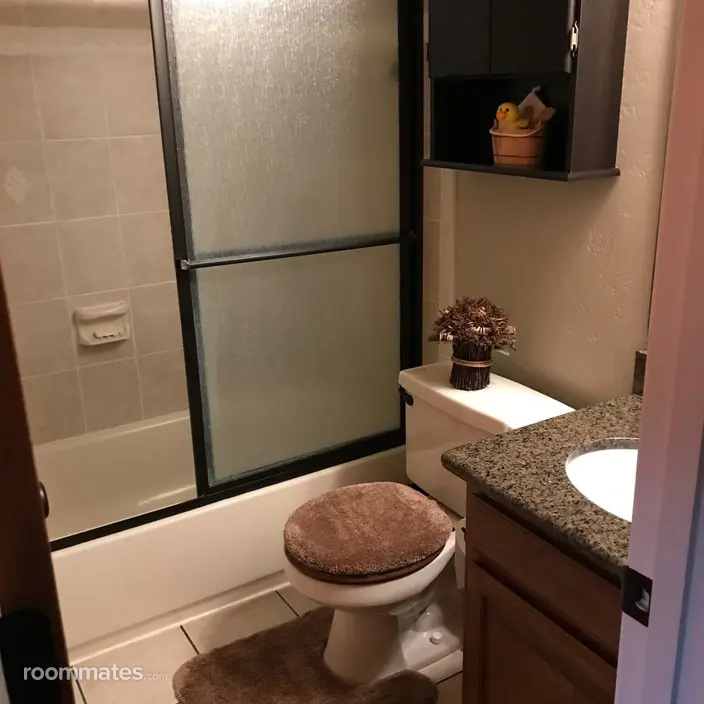 Room for rent in Spring, TX $700, house