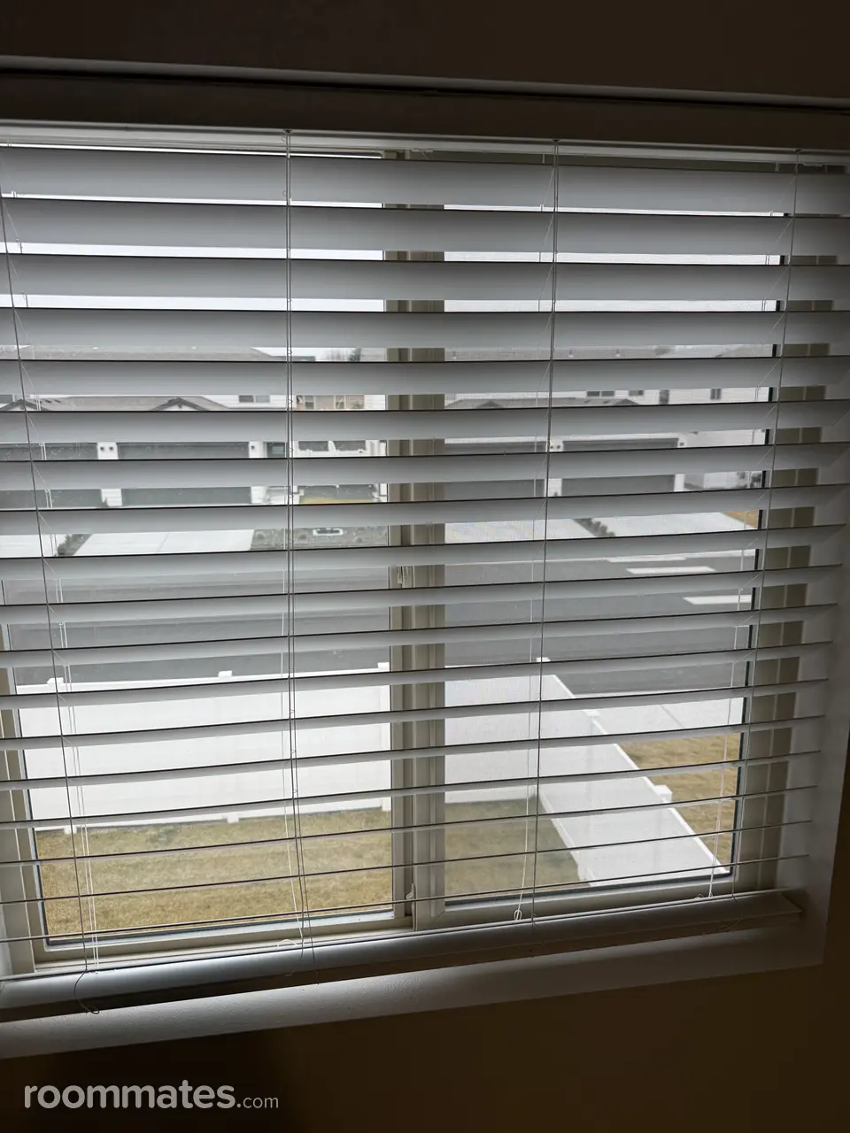 Profile photo 4 of 5