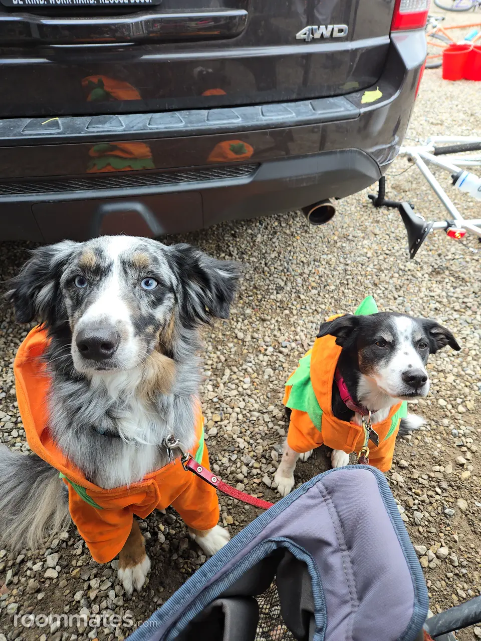 Profile photo 13 of 18