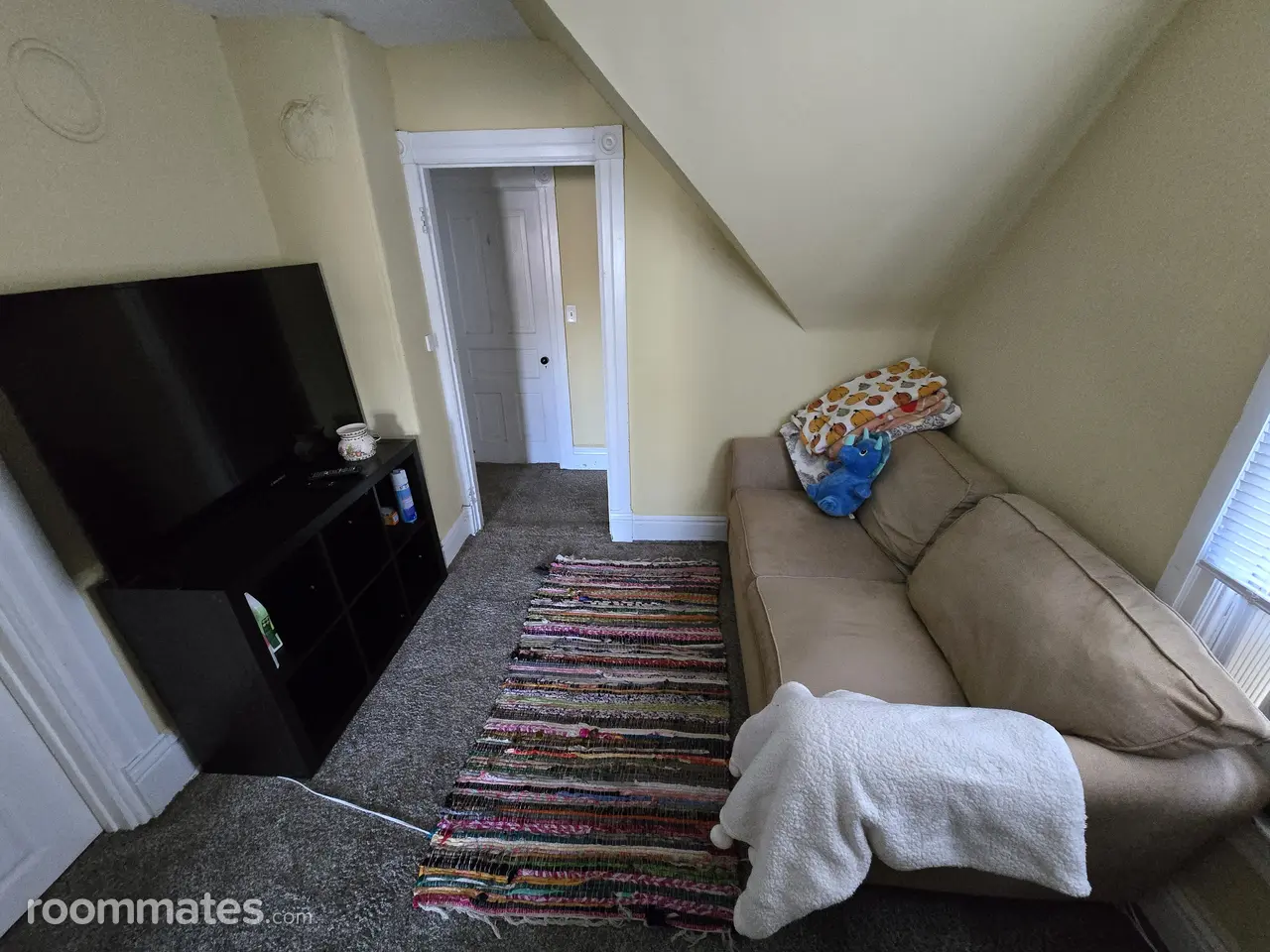 Profile photo 8 of 18