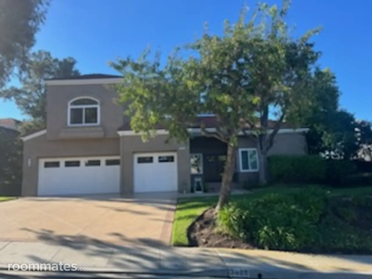 Profile photo 8 of 10