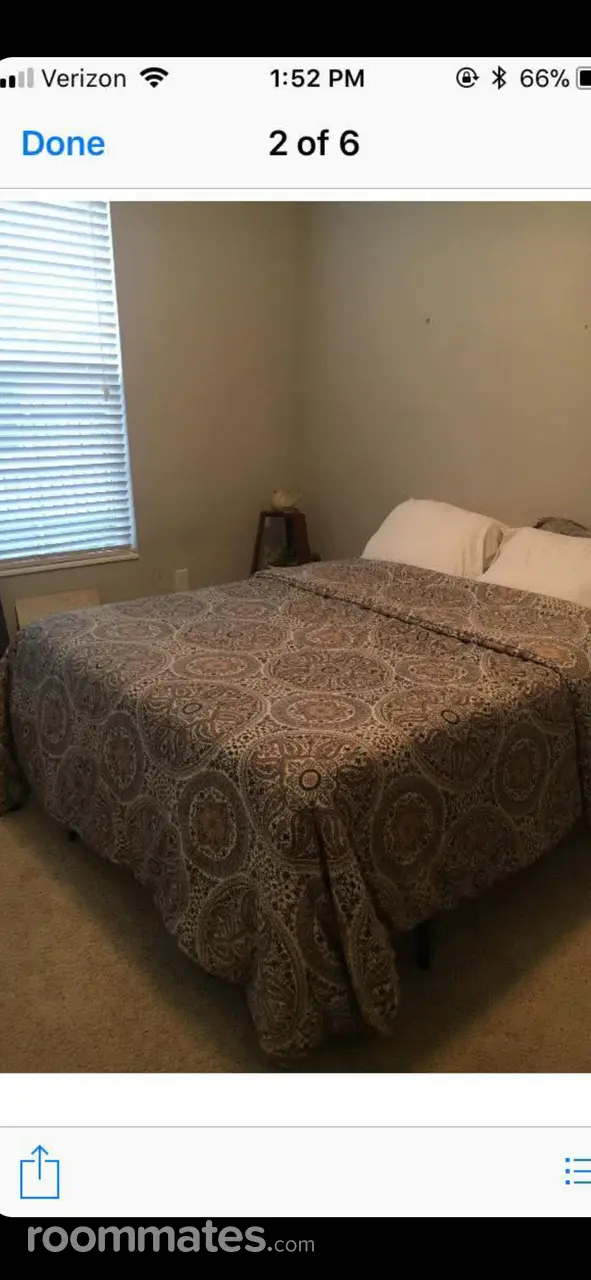 Profile photo 3 of 8