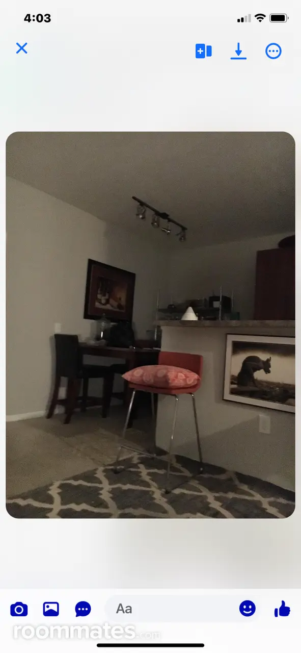 Profile photo 7 of 8