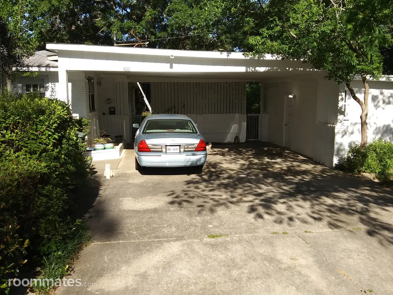 Profile photo 5 of 6