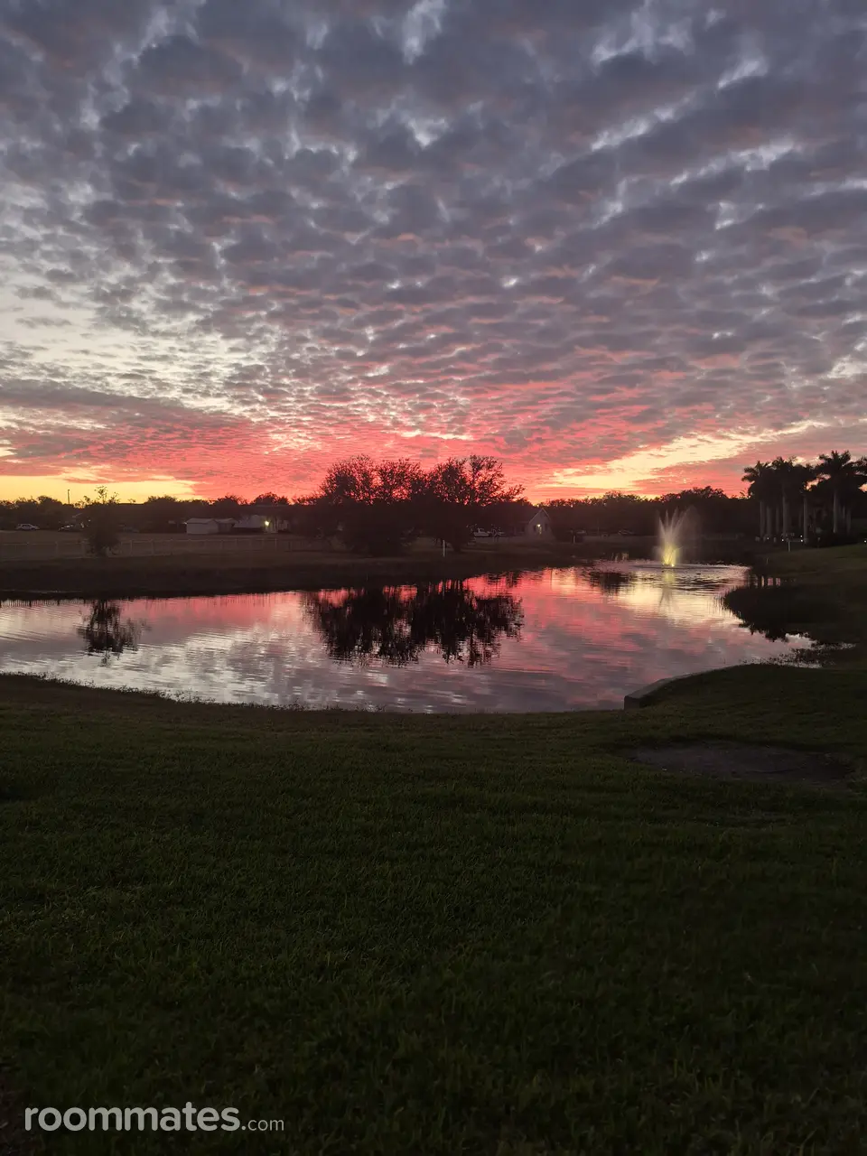 Profile photo 6 of 17