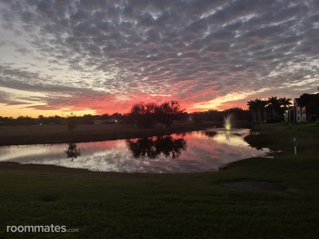 Profile photo 15 of 17