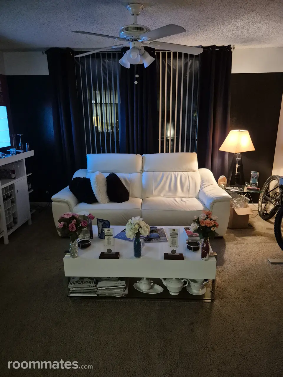 Profile photo 13 of 17