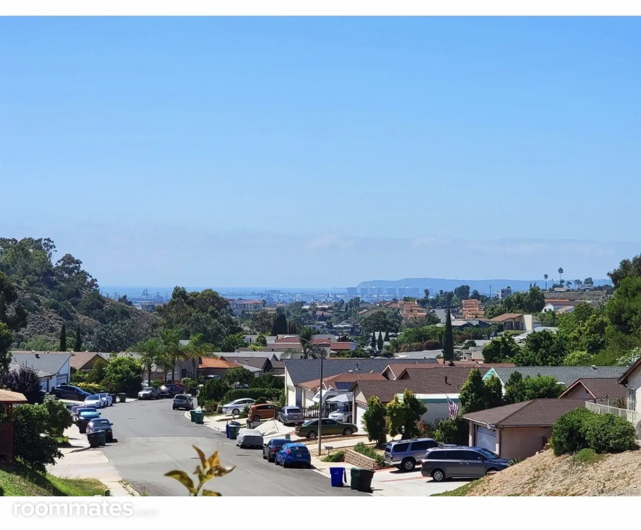 Profile photo 3 of 14