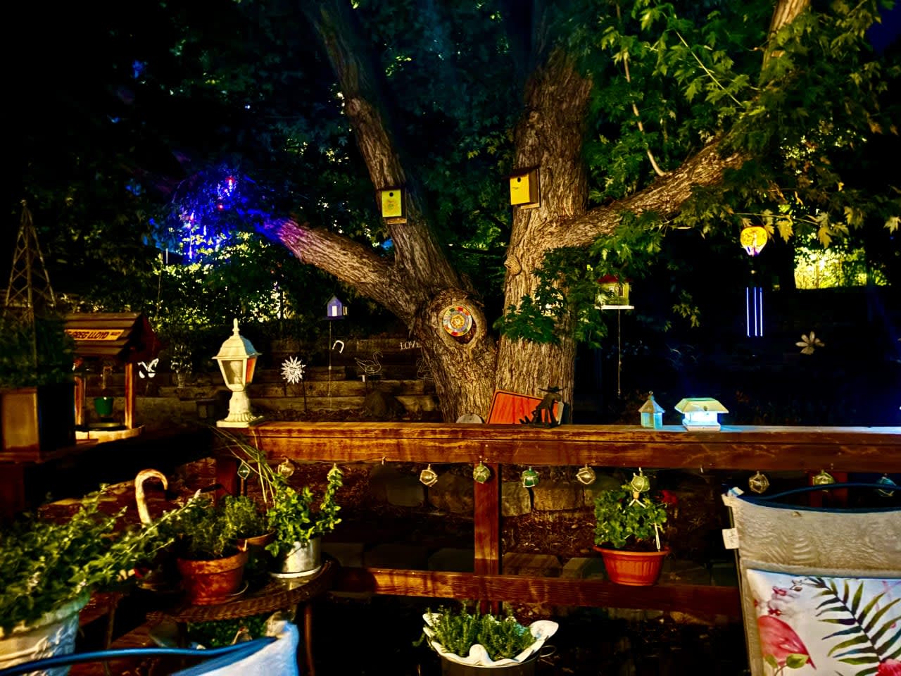 Profile photo 10 of 11