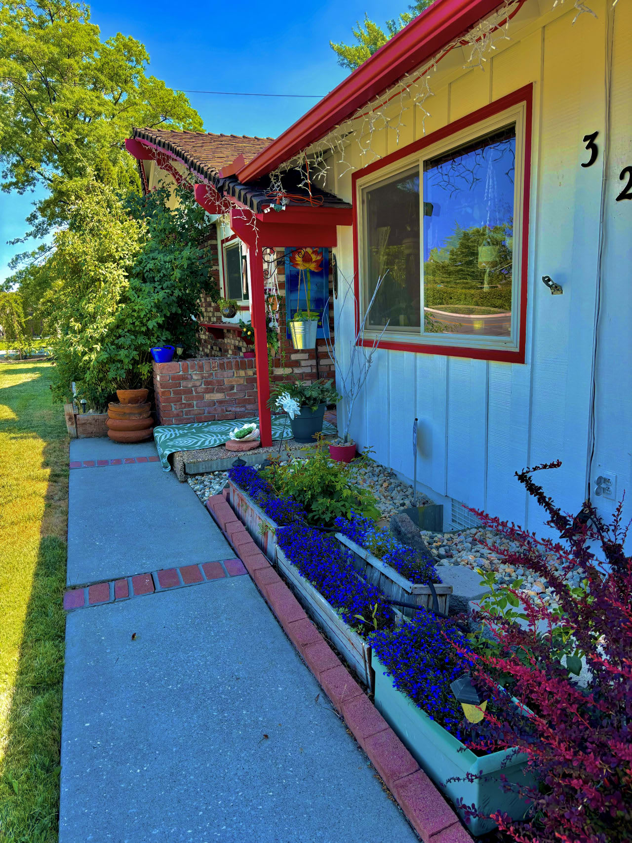 Profile photo 5 of 11