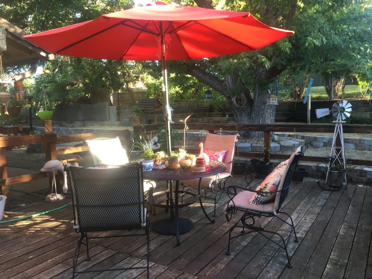 Profile photo 6 of 11