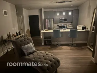 Room for rent in Saint Paul, MN $1500, apartment