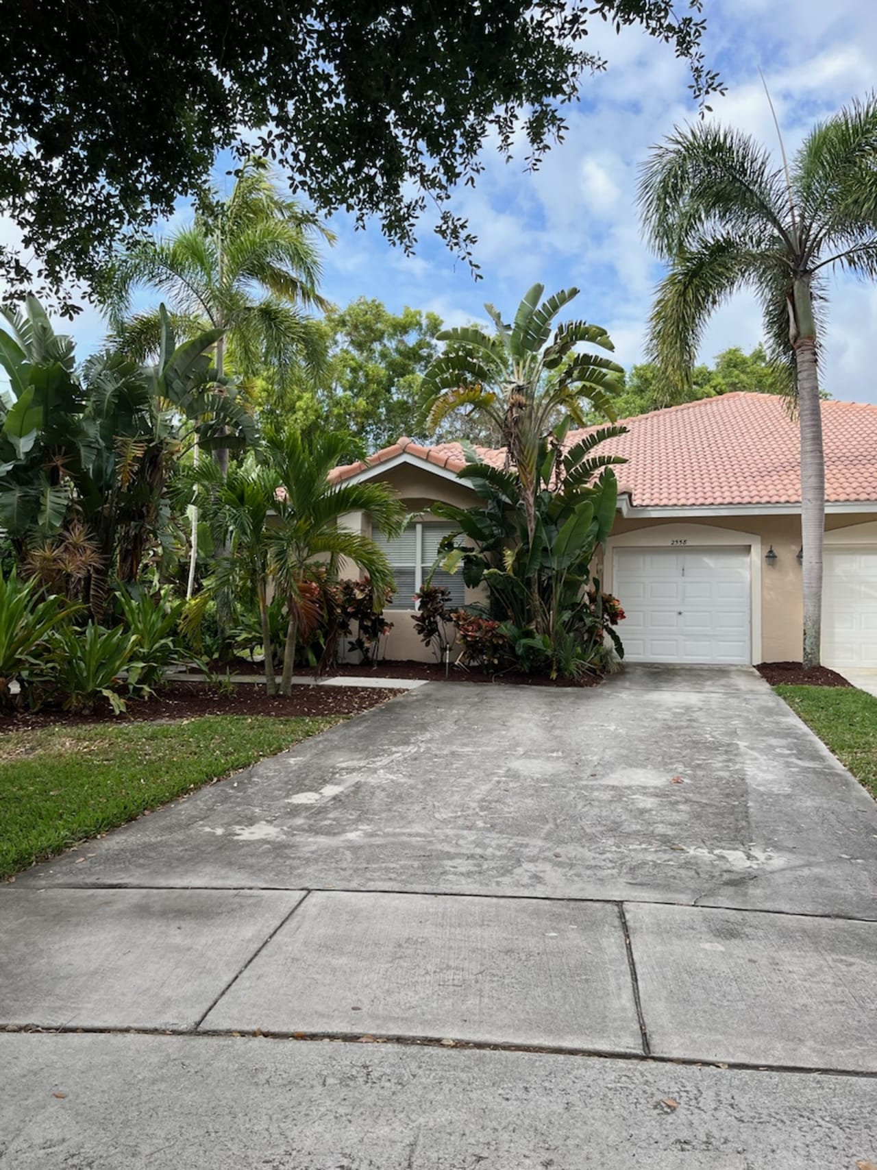 Profile photo 5 of 14