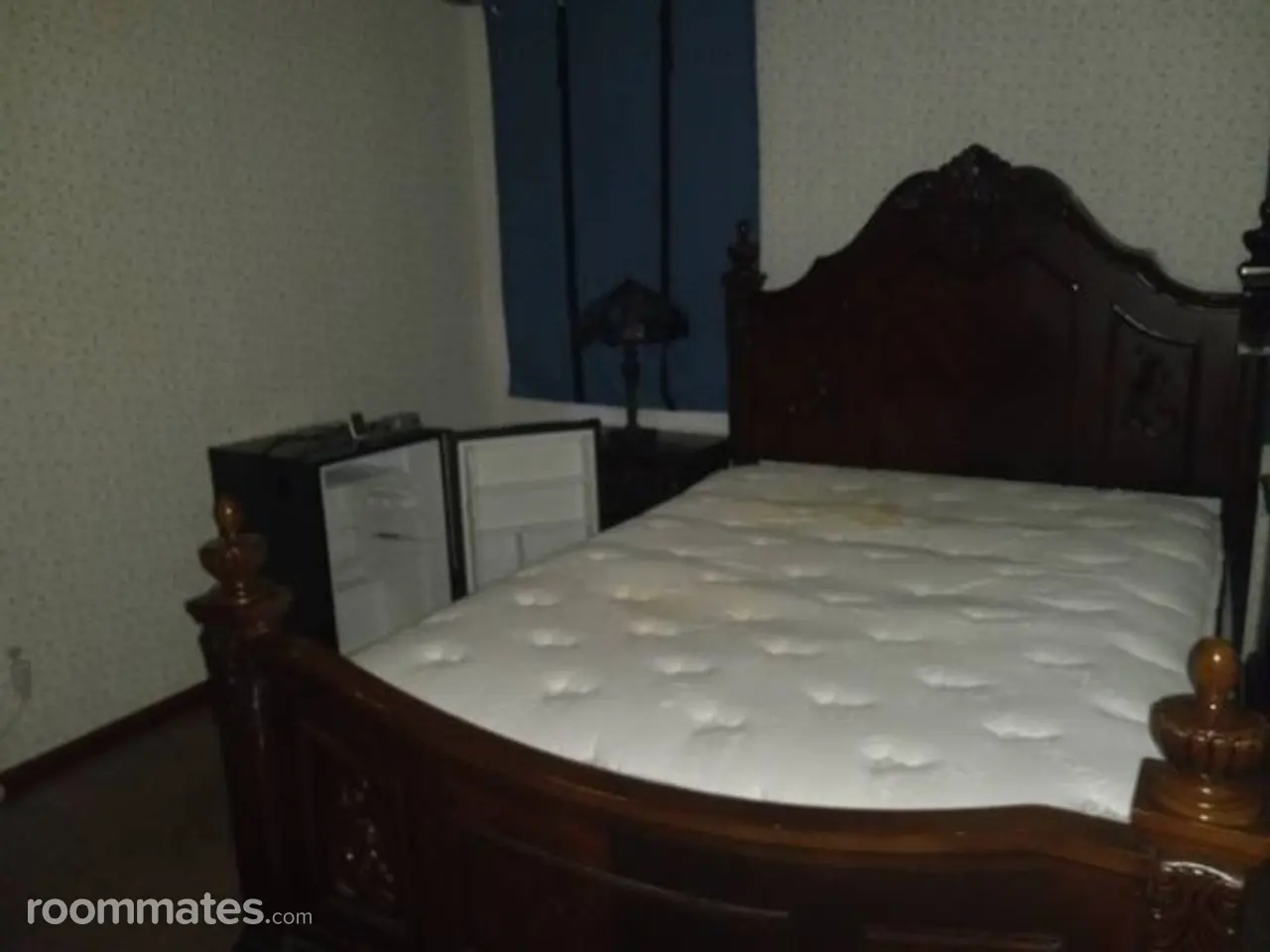 Profile photo 5 of 8