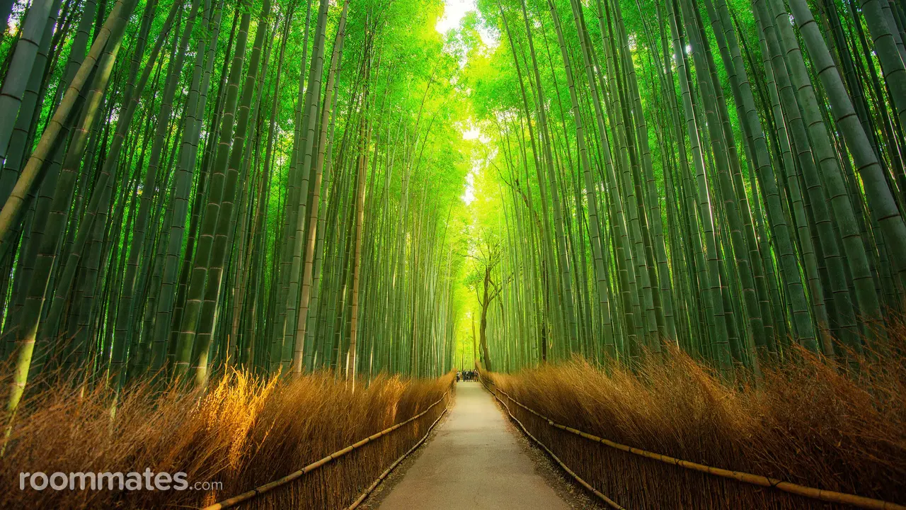 Profile photo 5 of 5