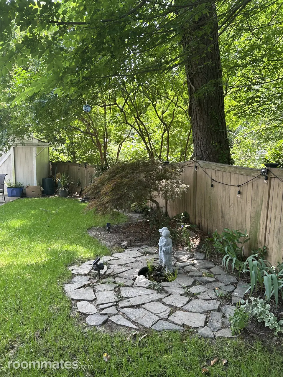 Profile photo 4 of 10