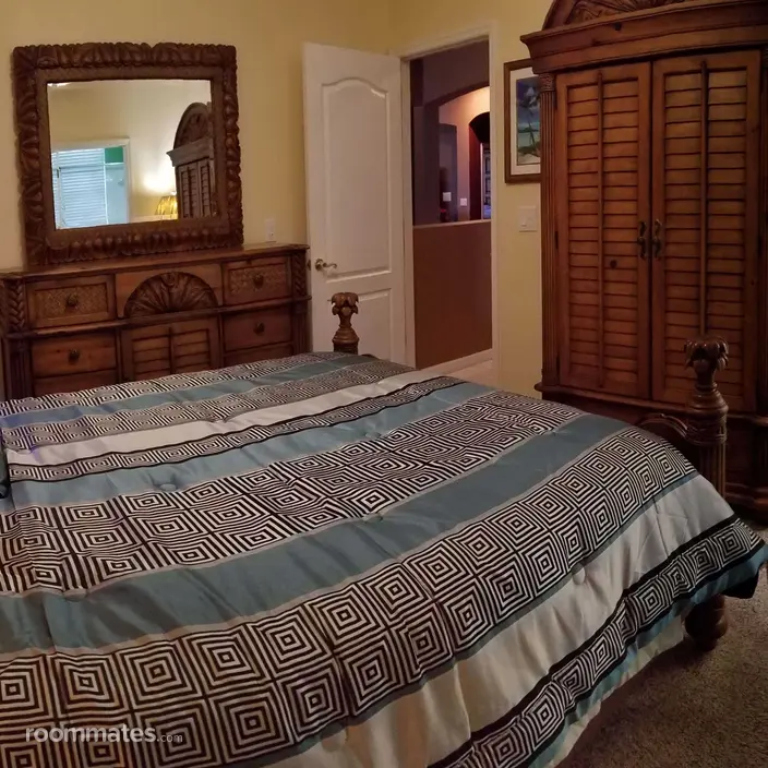 Room for rent in Brandon, FL $950, house