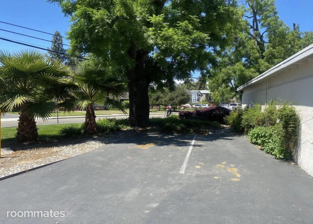 Profile photo 8 of 10