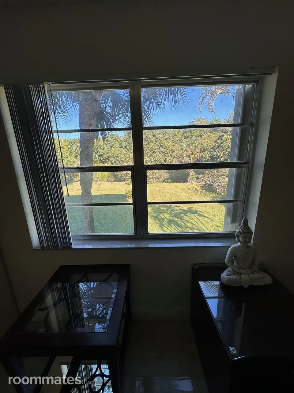 Profile photo 12 of 17