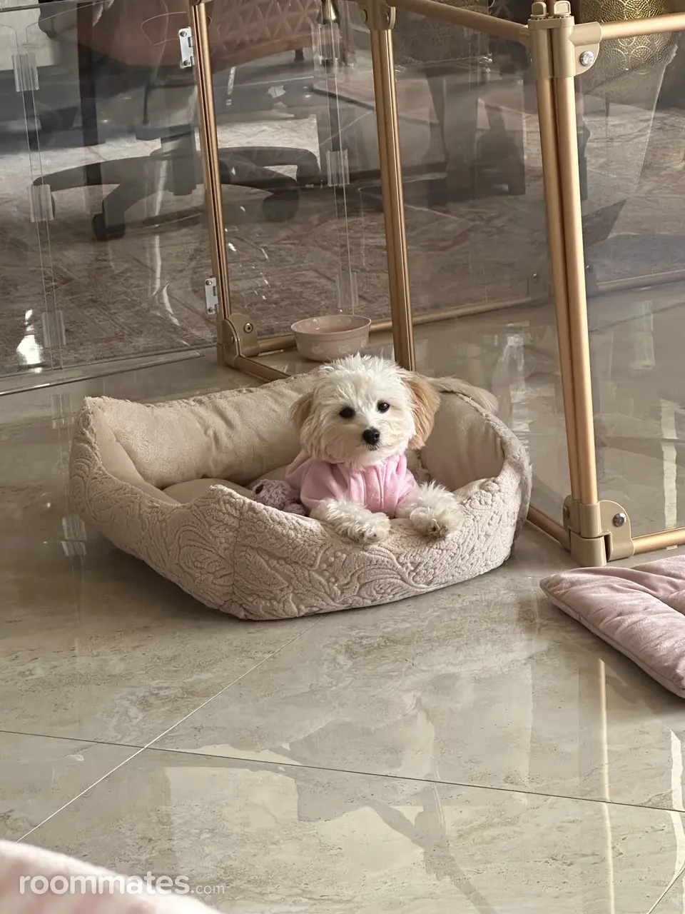 Profile photo 7 of 17