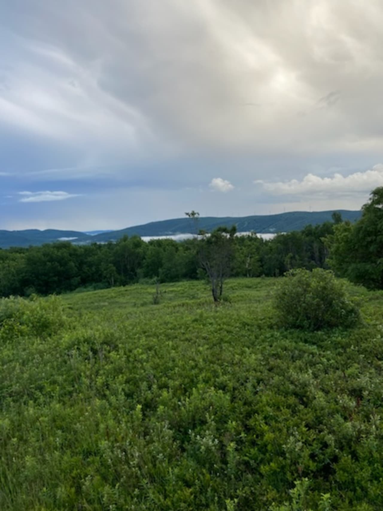 Profile photo 10 of 12