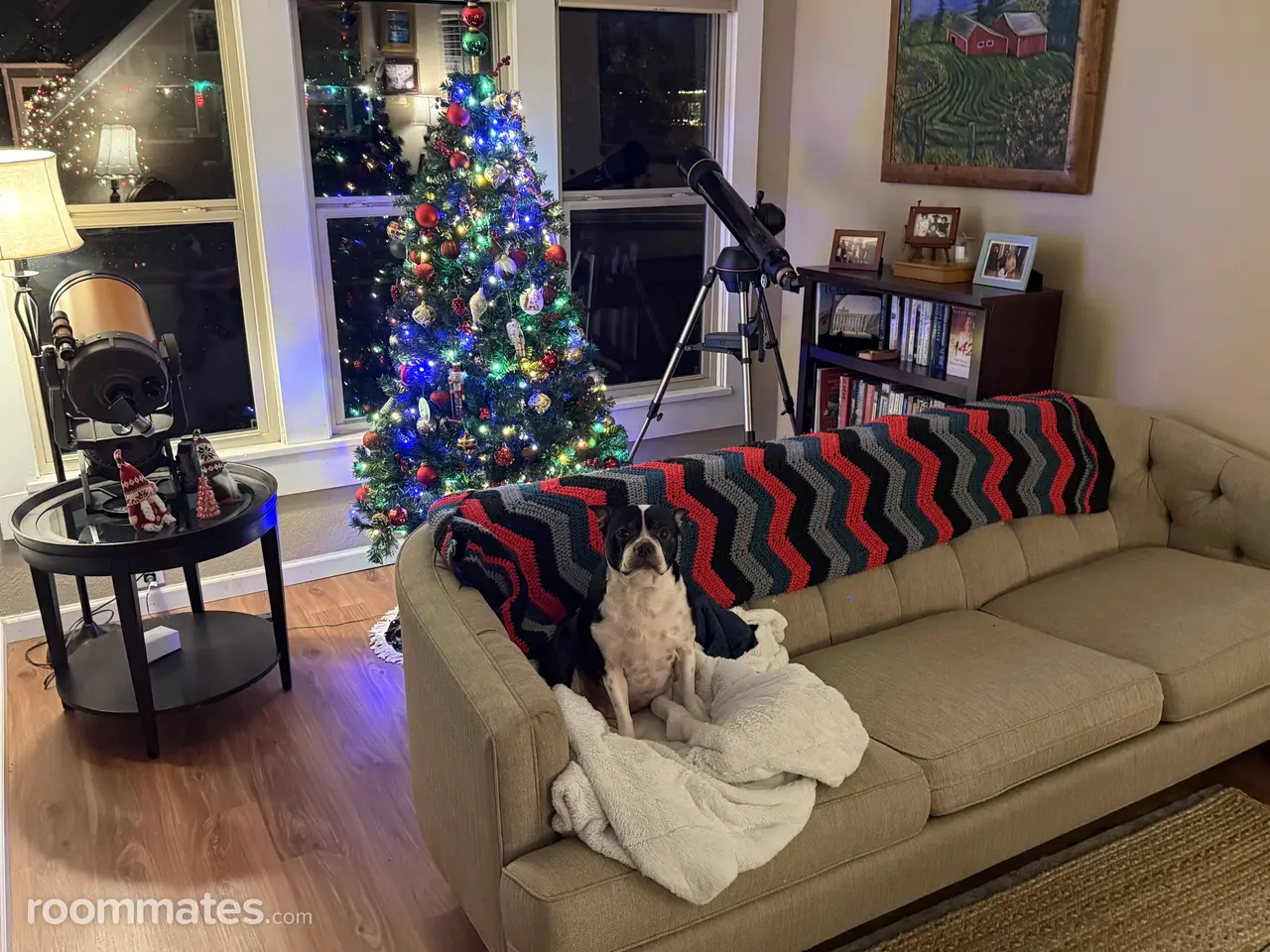 Profile photo 2 of 7