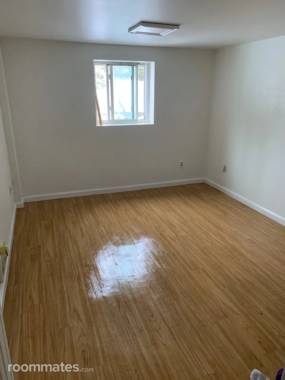 Profile photo 1 of 11