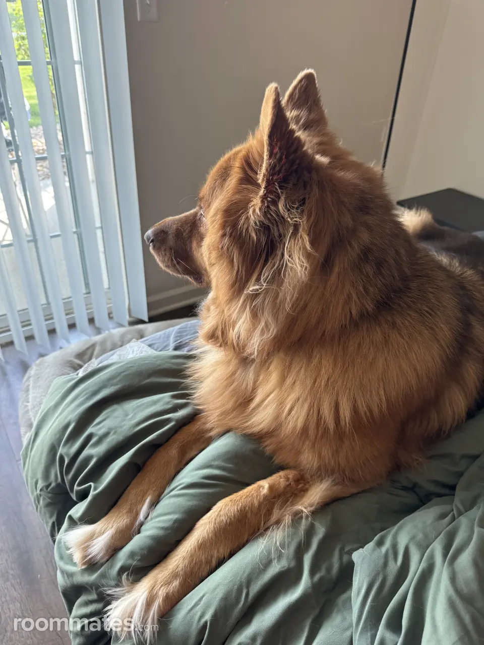 Profile photo 10 of 14