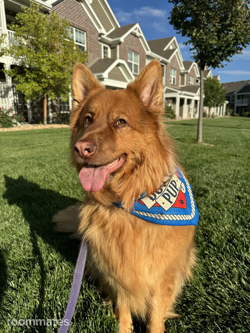 Profile photo 12 of 14