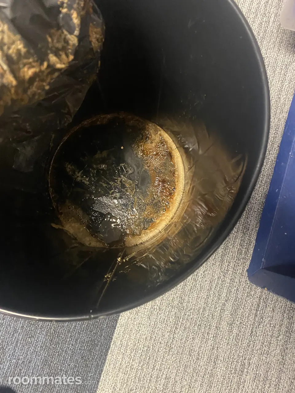 Profile photo 7 of 13