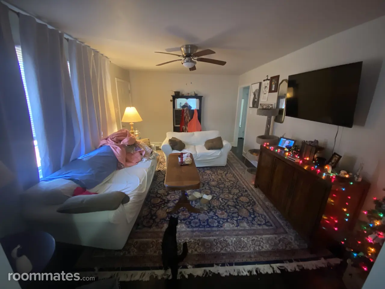 Profile photo 1 of 13