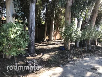 Room for rent in Concord, CA $1195, house