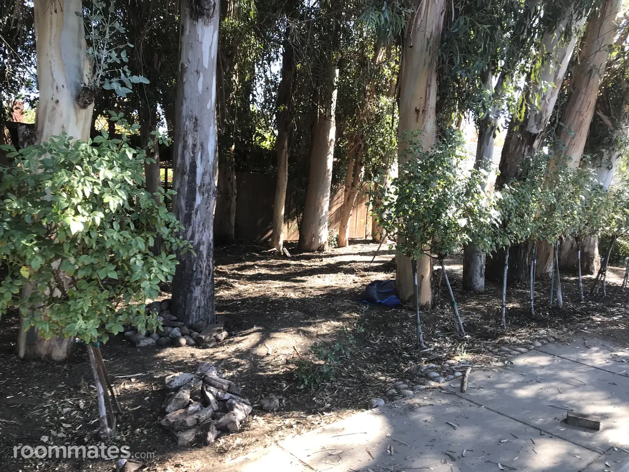 Profile photo 1 of 20