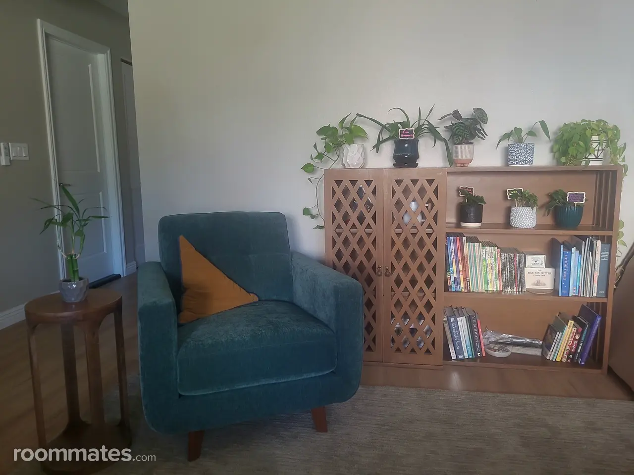 Profile photo 2 of 15