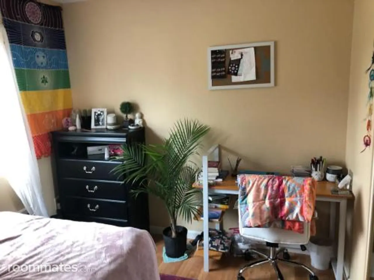 Profile photo 7 of 15