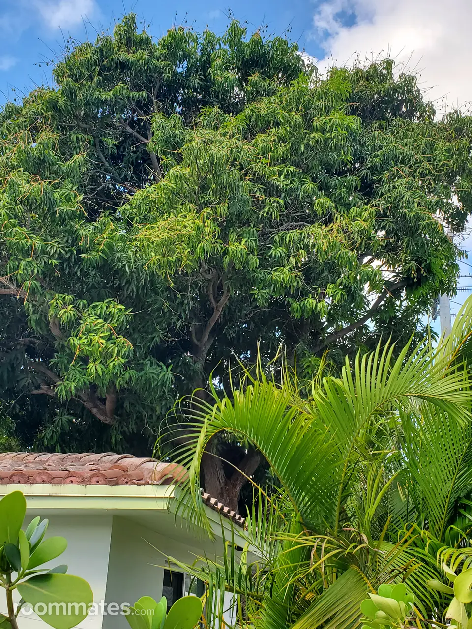 Profile photo 2 of 11