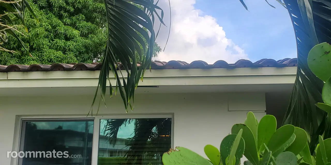 Profile photo 6 of 11