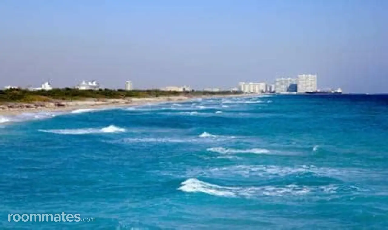 Profile photo 8 of 11