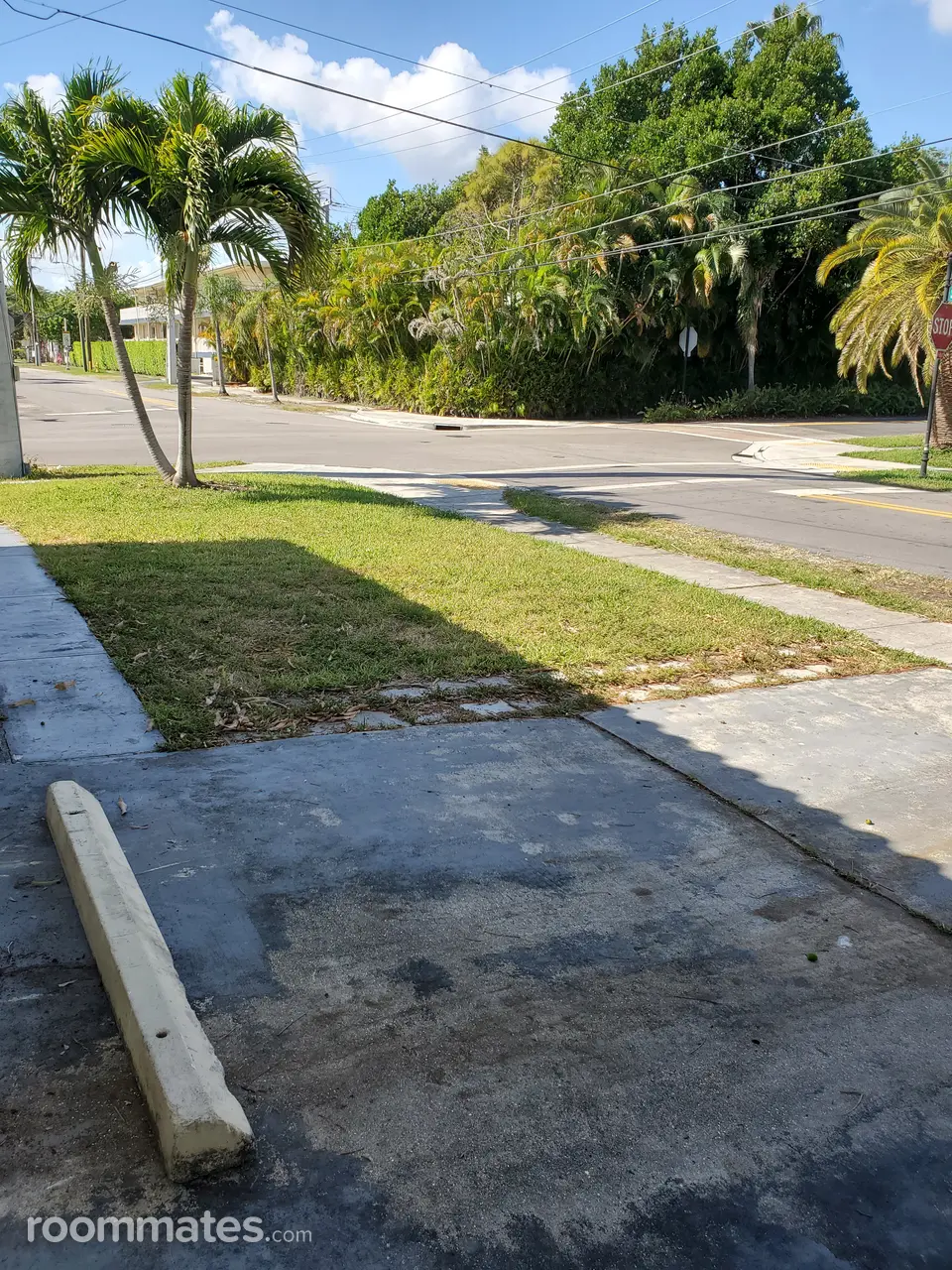 Profile photo 4 of 11