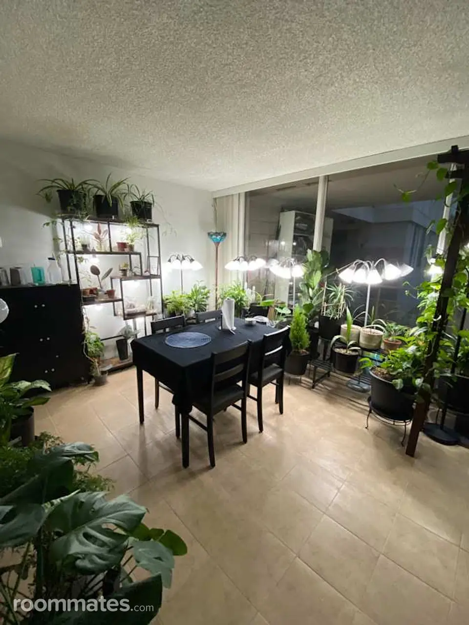 Profile photo 1 of 9