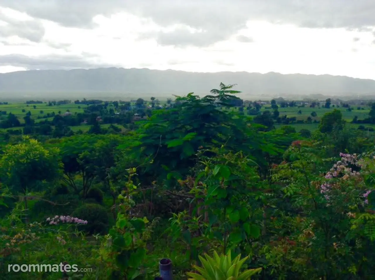 Profile photo 2 of 2