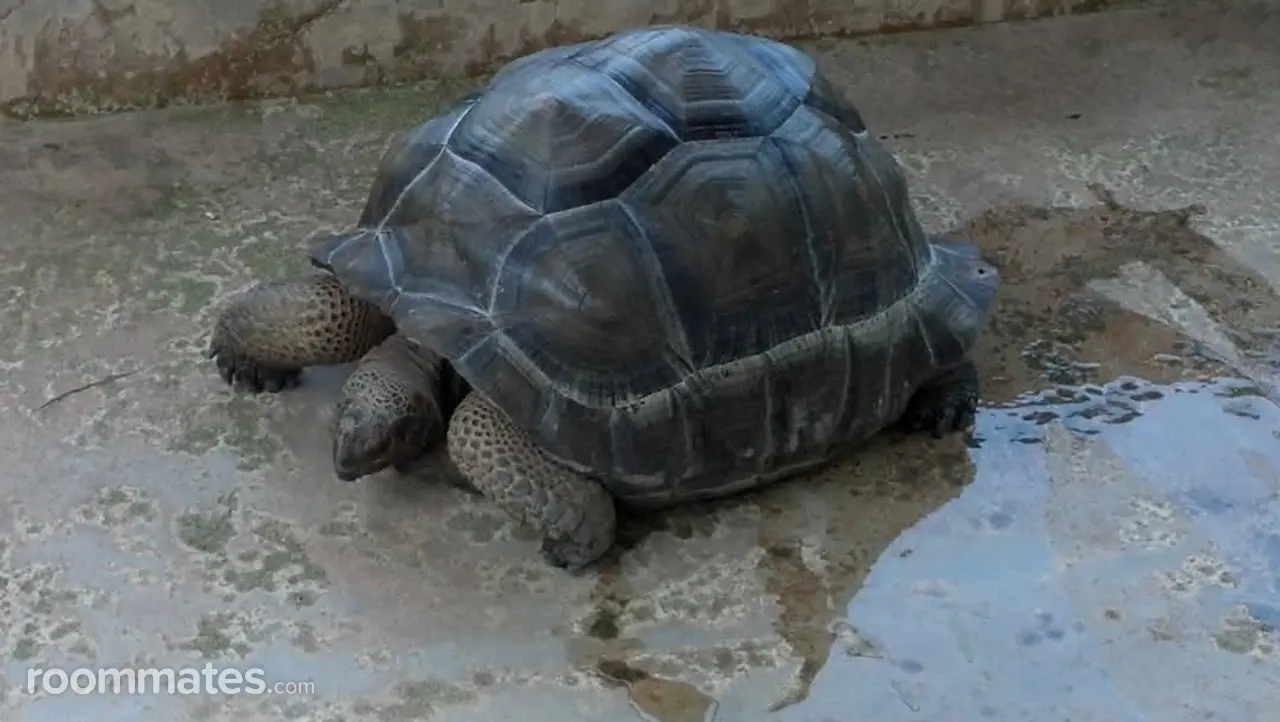 Profile photo 1 of 2