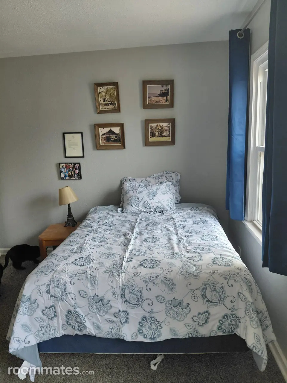 Profile photo 3 of 10