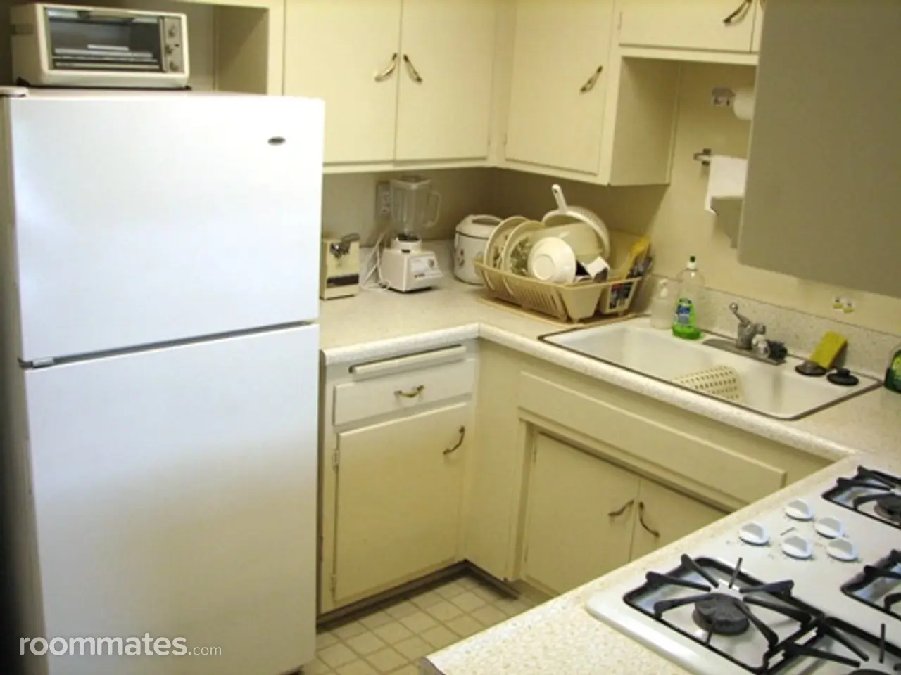 Profile photo 4 of 5