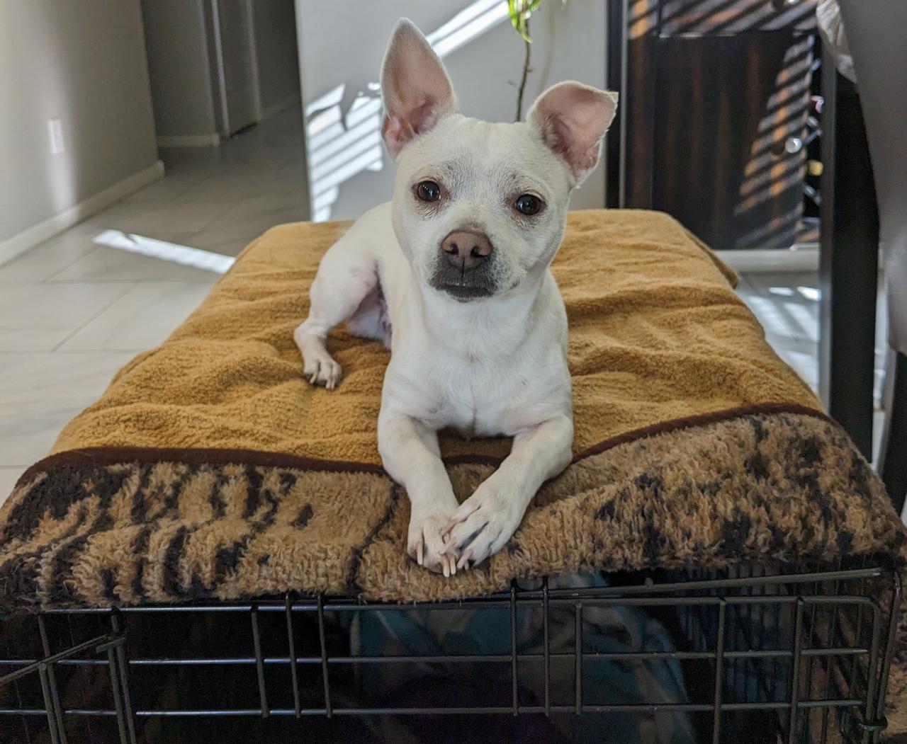 Profile photo 3 of 3