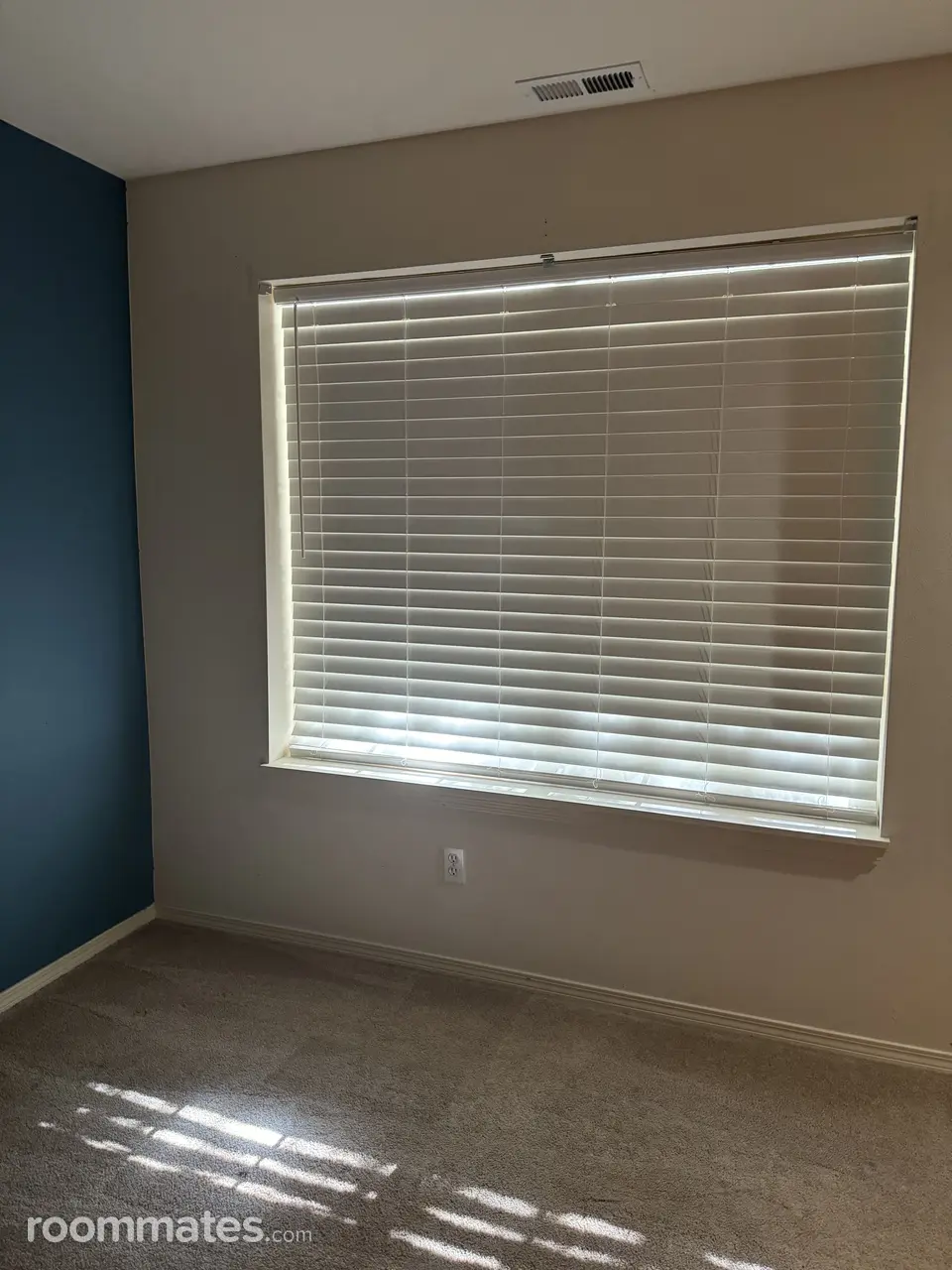 Profile photo 5 of 13